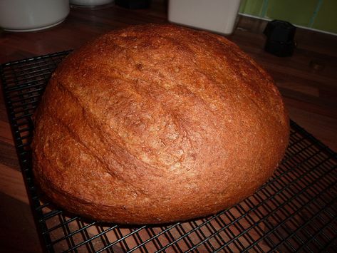 Making slow fermented bread in a breadmaker : Andrew Bowden's Blog Fermented Bread, No Rise Bread, Savory Bread, Bread Loaf, Bread Mix, Pan Bread, Water Recipes, White Bread, Loaf Bread