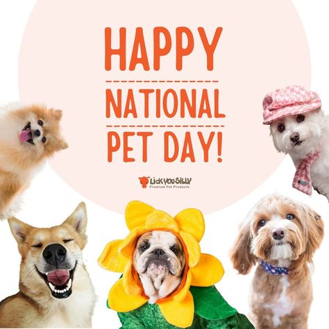 @lickyousillyyumyum shared a photo on Instagram: “We’re lucky to have them! Happy National Pet Day! Shouldn’t it be every day?😃💕 . . . . . #nationalpetday #nationalpetday2021…” • Apr 12, 2021 at 3:08pm UTC Cat Raw Food, Pet Advertising, National Pet Day, Frozen Dog, Love Your Pet, Pet Day, Dry Cat Food, Business Insurance, Raw Food