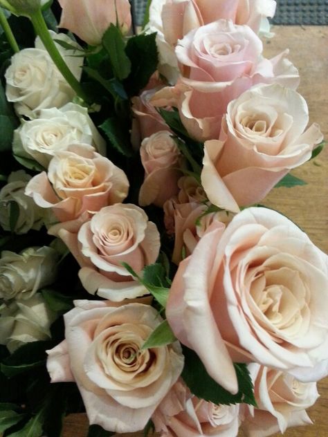 Mother of Pearl Roses -- My new favorite roses. Champagne Weddings, Real Wedding Flowers, Beige Roses, Mother Of Pearl Rose, Miniature Roses, Pearl Centerpiece, Miniature Rose, Rose Garden Design, Rose Colors