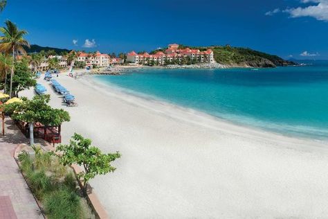 Divi Little Bay Beach Resort Affordable Honeymoon, Caribbean Resort, Honeymoon Places, Bay Photo, Honeymoon Spots, Best Honeymoon, Contests Sweepstakes, Caribbean Vacations, Honeymoon Packages