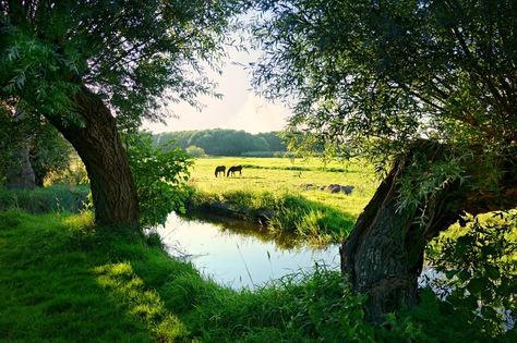 Meadow Aesthetic, Dutch Countryside, Countryside Aesthetic, Big Painting, Tulip Fields, Landscape Pictures, Cool Landscapes, Landscape Photos, Beautiful Landscapes