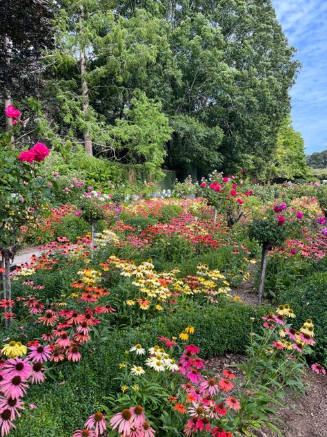 Flower Garden Walkway, Flower Park Aesthetic, Garden Full Of Flowers Aesthetic, Cottage Core Flower Garden, Huge Flower Garden Aesthetic, Greenhouse Flowers Aesthetic, Porch Plants, Garden Walkway, Bay Area