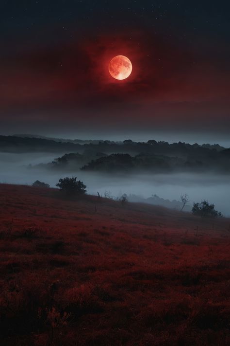 Moonlit Enigma Red Fog Aesthetic, Spooky Moodboard, Blood Moon Aesthetic, Ethereal Realm, Crimson Moon, Ethereal Landscape, Red Fog, Red Ghost, 2024 Inspiration