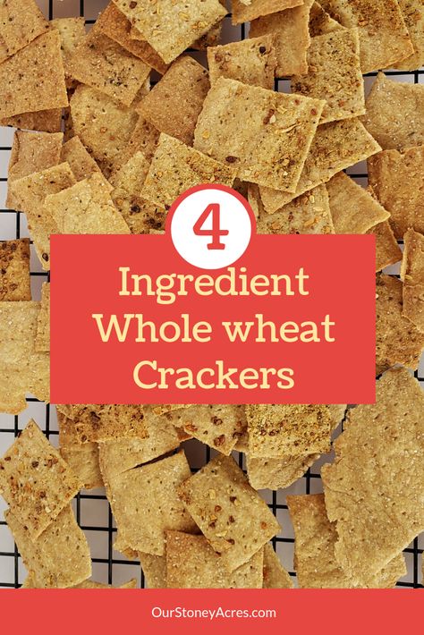 This is and easy recipe, 4 Ingredient Homemade Whole Wheat Crackers are a quick snack.  Learn how to make this homemade treat. The article includes instructions and a 100% plant based recipe. Homemade Wheat Crackers, Rosemary Crackers Recipe, Whole Wheat Crackers Recipe, Low Calorie Crackers, Wheat Crackers Recipe, Homemade Crackers Recipe, Oat Crackers, Cracker Recipe, Whole Wheat Crackers