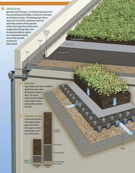 Case Sotterranee, Roof Work, Green Roofs, Living Roofs, Design Library, Green Architecture, Earthship, Rooftop Garden, Roof Garden