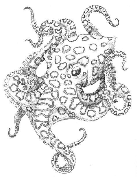 Blue Ring Octopus, Blue Ringed Octopus, Ringed Octopus, Octopus Drawing, Octopus Tattoo Design, Octopus Tattoo, Tattoo Stencil Outline, Line Art Tattoos, Blue Ring