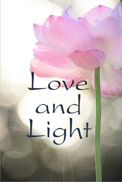 ¸¸.•*¨*•*´¨) ¸.•´¸.•*´¨) ¸.•*¨) (¸.•´ (¸.•` ¤ Love and Light! Love And Light Images, Love And Light Quotes, Light Quotes, Words Love, Love Is, Birthday Messages, Guided Meditation, Love And Light, Energy Healing