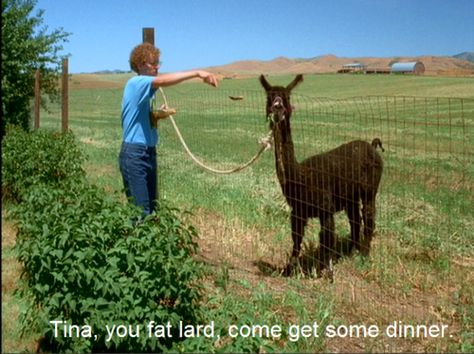 Napoleon Dynamite. Tina, you fat lard, come and get some dinner. Napoleon Dynamite Characters, Napoleon Dynamite Quotes, Funny Movie Lines, Film Ideas, Napoleon Dynamite, Movie Lines, Funny Movies, Great Movies, Movie Quotes