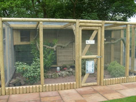 full (1600×1200) Pheasant Aviary Ideas, Outside Bird Aviary Ideas, Bird Cage Ideas Outdoor, Pheasant Aviary, Birds Cage Ideas Outdoor, Pheasant Enclosures, Bird Aviary Ideas Outdoor, Aviary Ideas Outdoor, Aviary Ideas