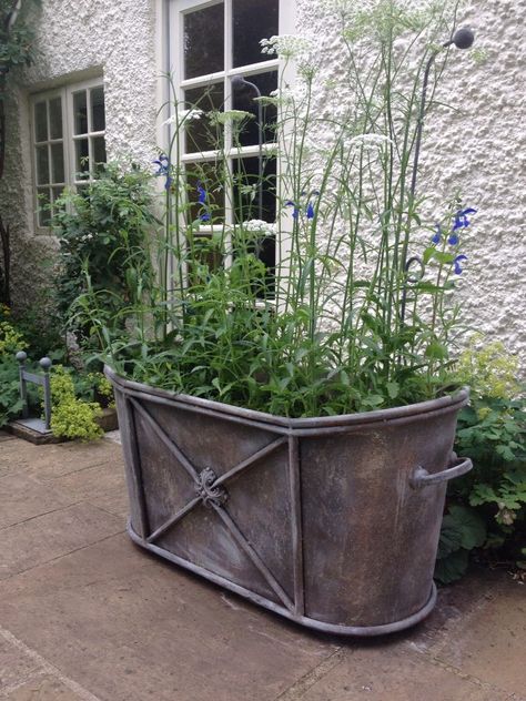 Zinc Planters Container Gardening, Driveway Planters, Zinc Planters, Potting Benches, Queen Anne's Lace Flowers, Campaign Design, Home Colour, Window Planter Boxes, Queen Anne's Lace