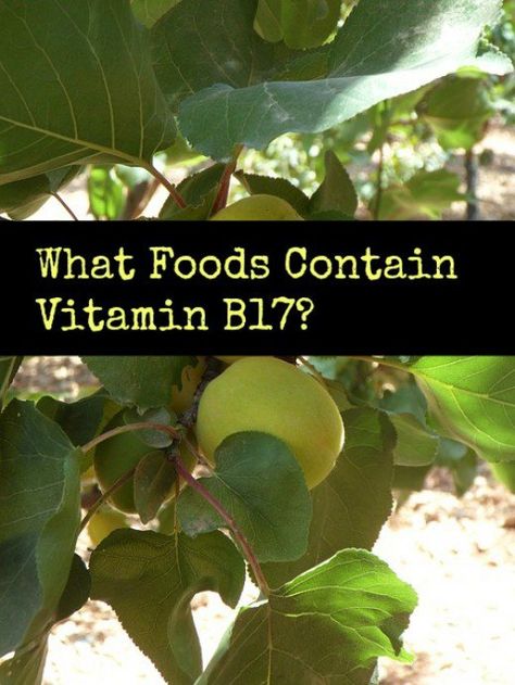 Many foods contain Vitamin B17, although you may not know it. This is a list of the top foods that are rich in Vitamin B17. Vitamin B17 Food, Vitamin B12 Foods, Vitamin Benefits, Vitamin B17, Vitamin Rich Foods, Benefits Of Vitamin A, Hormone Balancing Diet, Vitamin A Foods, Dash Diet Recipes