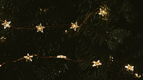 Download wallpaper 1920x1080 garland, stars, tree, decoration, new year full hd, hdtv, fhd, 1080p hd background Christmas Lights Wallpaper, Christmas Tree Wallpaper, Xmas Wallpaper, Cute Christmas Wallpaper, New Year Wallpaper, Christmas Phone Wallpaper, Christmas Wallpapers, Holiday Wallpaper, Wallpaper Iphone Christmas