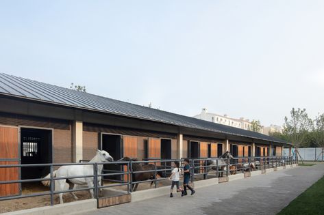 Gallery of Aranya Equestrian Center / in:Flux architecture - 44 Visitor Center Architecture, Concrete Staircase, Horse Stable, Equestrian Center, Horse Stables, Stables, Open Space, Equestrian, Terrace