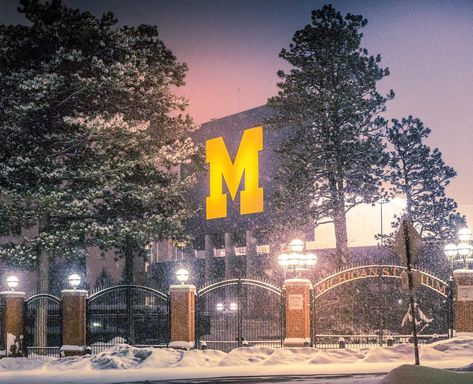 Find things to do in winter, and all season in the Ann Arbor area! Things To Do In Winter, Ann Arbor Michigan, Tourism Website, One Home, Urban Oasis, Travel Tourism, Pure Michigan, University Of Michigan, Open Spaces