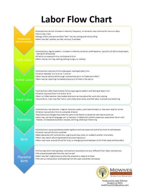 Labor Flow Chart Labor Stages, Unassisted Birth, Midwife Assistant, Midwifery Student, Doula Business, Birth Preparation, Baby Delivery, Pregnancy Checklist, Stages Of Labor