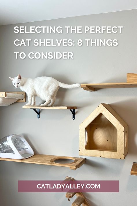 white cat standing on a cat shelf installed on a cat wall Cat Wall Inspiration, Cat Vertical Space, Cat Loft Ideas, Renter Friendly Cat Wall, Ikea Cat Wall, Cat Spaces In Home, Cat Shelves Diy, Diy Cat Wall Ideas, Diy Cat Wall