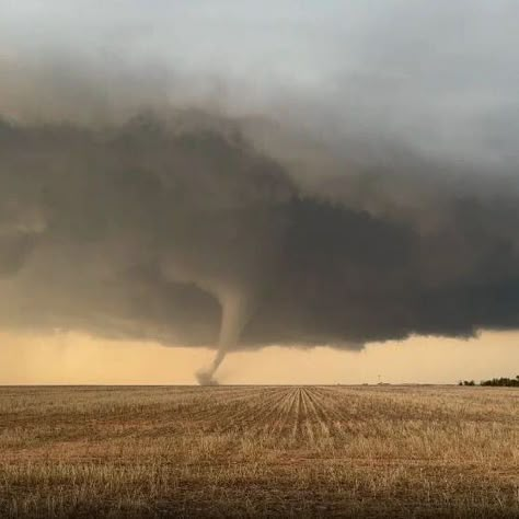 'Holy cow': Watch as storm chasers are awe-struck by tornado that touched down in Texas — USA TODAY Tornado Photography, Tornado Aesthetic, Snow Storms, Tornado Chaser Aesthetic, Real Tornado Pictures, Texas Tornado, Kansas Tornado, Tornado Chasers, Tornado Damage