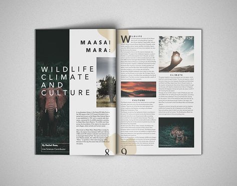 Magazine Layout Design Art Magazine Design, School Magazine Ideas, Travel Magazine Layout, Editorial Design Magazine, Book Editorial Design, Yearbook Layouts, Book And Magazine Design, Page Layout Design, Book Editorial