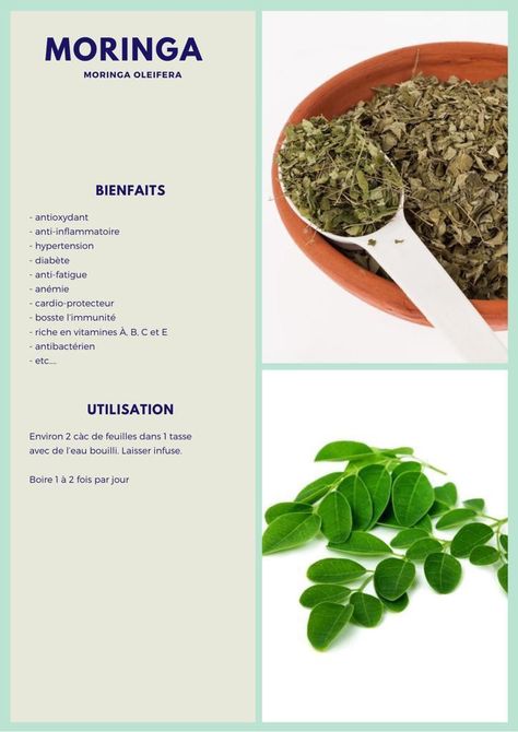 Hair And Skin Vitamins, Food Health Benefits, Herbal Teas Recipes, Natural Beauty Care, Fruit Benefits, Magical Herbs, Herbs For Health, Natural Herbs, Tea Recipes