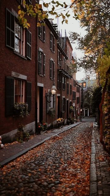 New England Fall Aesthetic, Autumn Books, Dark Academia Books, Leaves Falling, Light Academia Aesthetic, Aesthetic Dark Academia, Aesthetic City, New England Fall, Fall Feels