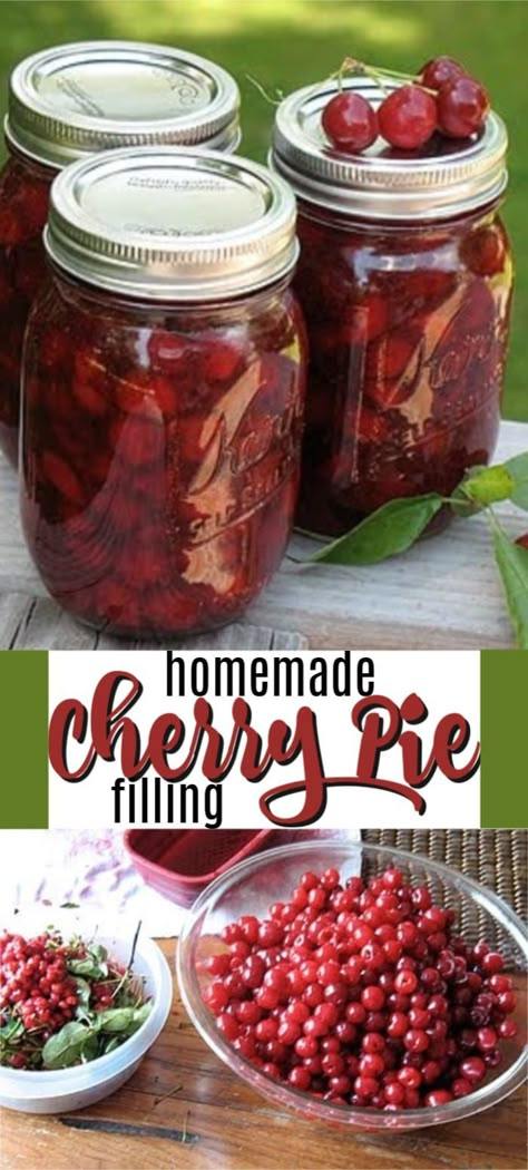 Homemade Cherry Pie Filling, Easy Cherry Pie, Sour Cherry Recipes, Cherry Pie Filling Recipes, Homemade Cherry Pie, Homemade Cherry Pies, Cherry Crisp, Pie Fillings, Canning Cherry Pie Filling