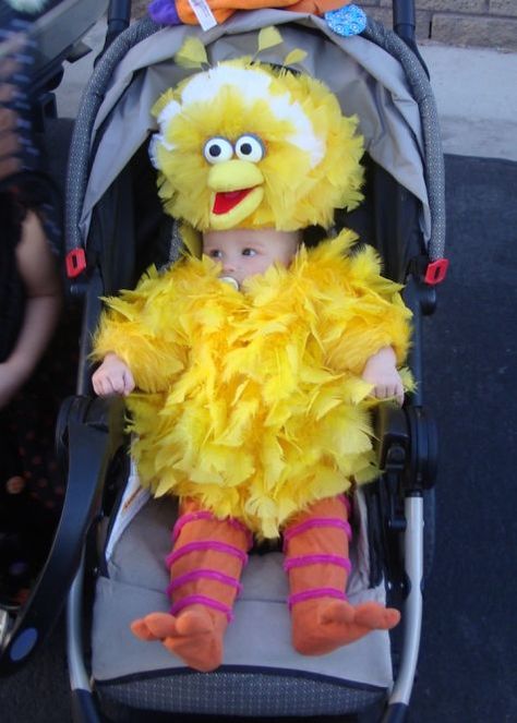 This is Jaxon, 5 months old, in his Big Bird costume. While I was pregnant with him my best friend and I nicknamed him Big Bird. So it only seemed fitting to make him Big Bird for Halloween... Big Bird Costume, Amazing Halloween Costumes, Baby Kostüm, Bird Costume, Fantasias Halloween, Cute Costumes, Big Bird, Fete Halloween