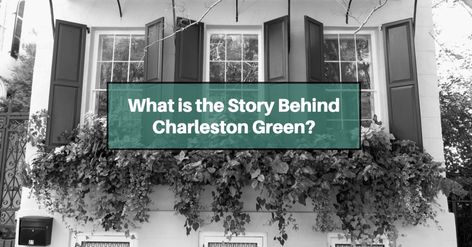 Charleston Green, Green Shutters, Zyla Colors, House Redo, Green Paint Colors, Shutters Exterior, Sash Windows, House Paint Exterior, Elm Street