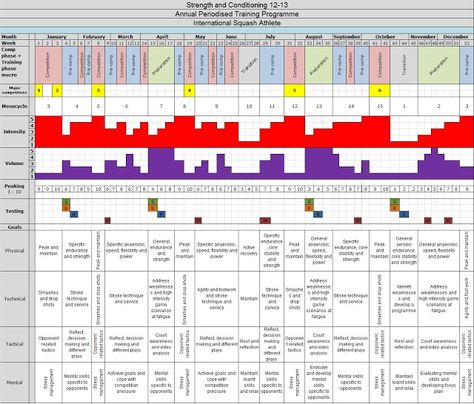 Strength and Conditioning Case Study - Squash Athlete: Annual Periodised Training Programme Strength And Conditioning, Training Programs, Case Study, Programming, Bee, Conditioner, Train