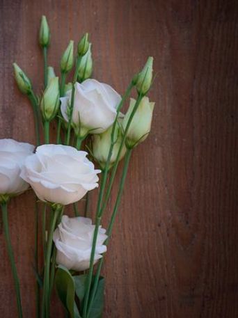 Lisianthus Bouquet, Lisianthus Flower, Bloom Blossom, White Wedding Flowers, Flower Names, Flower Farm, Types Of Flowers, Blossom Flower, Beautiful Blooms