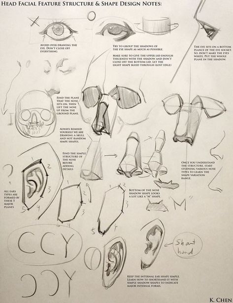 Kevin Chen Figure Drawing, Kevin Chen Anatomy, Nose Anatomy Drawing, Head Anatomy Reference, Human Head Anatomy, Kevin Chen, Shape Reference, Michael Hampton, Anatomy Education