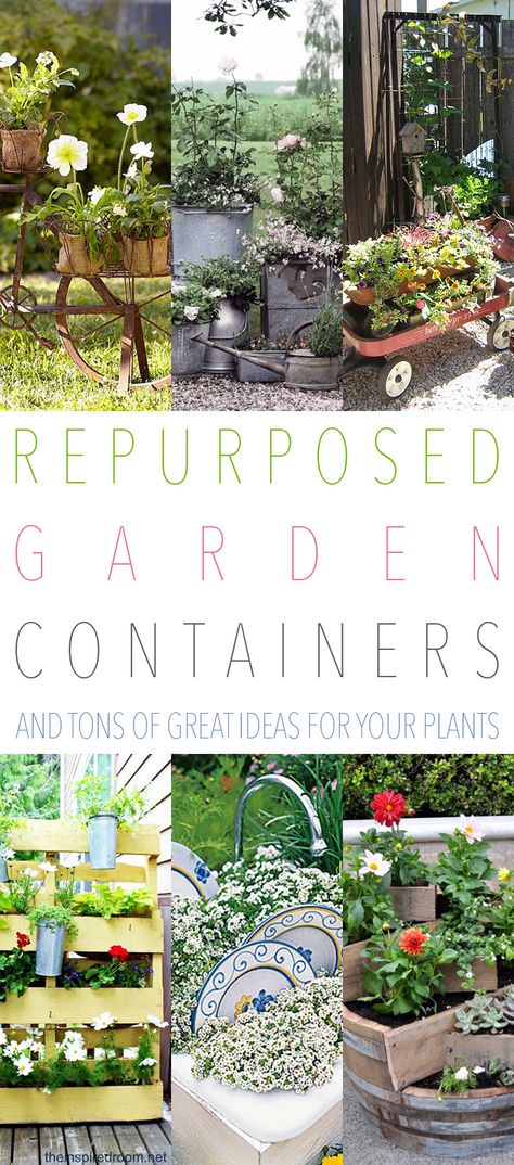 Repurposed Garden Containers and Tons of Great ideas for your plants Indoor Gardening Supplies, Garden Layout Vegetable, Upcycle Garden, Cottage Market, Garden Containers, Garden Art Diy, Pretty Plants, Garden Layout, The Cottage