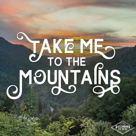 Gatlinburg TN Guide on Instagram: “Who would you love to take with you to the Smoky Mountains? #smokymountains #greatsmokymountains #mountains #gatlinburg #gatlinburgtn…” Gatlinburg Tn, Gatlinburg, Great Smoky Mountains, Smoky Mountains, The Mountain, Photo And Video, Travel, Instagram