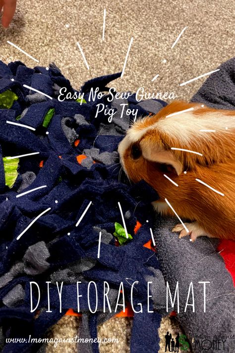 DIY No Sew Guinea Pig Rooting or Forage Mat Foraging Mat For Rabbits Diy, Diy Rabbit Forage Mat, Guinea Pig Sewing Projects, Guinea Pig Fleece Bedding Diy, Guinea Pig Diy Hideouts, Guinea Pig Diy Toys, Guinea Pig Hideout Diy, Guinea Pig Toys Diy Homemade, Diy Guinea Pig Hideout