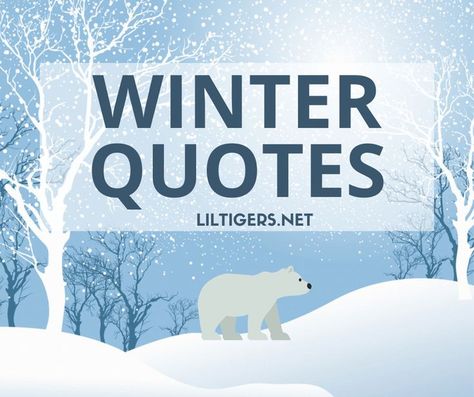 100+ Best Winter Quotes and Sayings Winter Phrases, Short Winter Quotes, Quotes About Winter, Winter Captions, Sayings For Kids, Narnia Quotes, First Day Of Winter, Winter Classroom, Winter Books