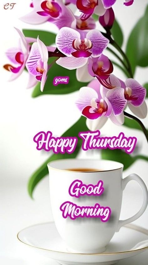 Good Morning Thursday Flowers, Happy Thursday Images, Thursday Images, Good Night Friends Images, Latest Good Morning Images, Good Morning Thursday, Latest Good Morning, Good Morning Happy Monday, Good Night Friends