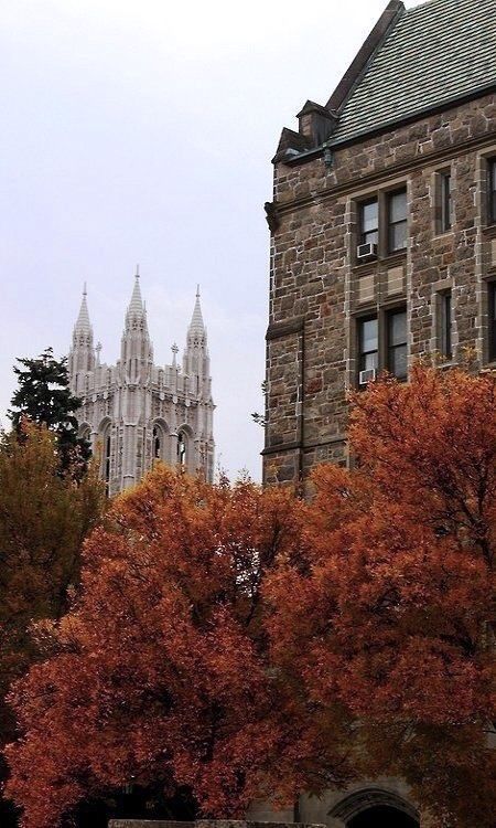 Beautiful Countries, Orange Leaves, Season Of The Witch, Fall Feels, Academia Aesthetic, Best Seasons, We Fall In Love, Autumn Cozy, Autumn Aesthetic