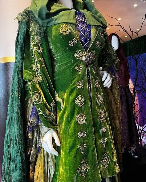 Winifred Sanderson Costume, Sanderson Sisters Costumes, Hocus Pocus Costume, Mary Sanderson, Sarah Sanderson, Winifred Sanderson, Hocus Pocus 2, Best Halloween Movies, Sanderson Sisters Hocus Pocus