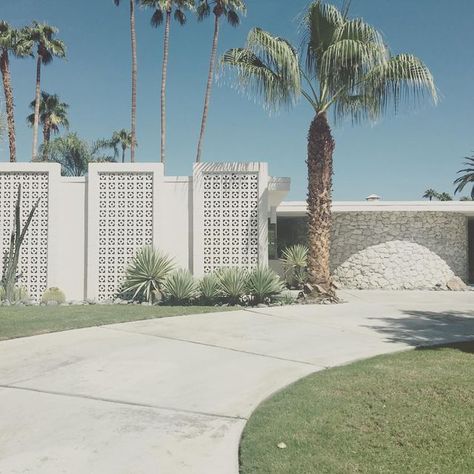 Breeze Block Fence With Gate, Breeze Block Fence, Palm Springs Garden, Garden Dividers, Palm Springs Houses, Breeze Block Wall, Palm Springs House, Dream Backyard Garden, Compound Wall Design