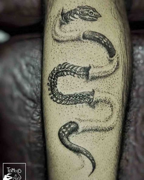 Snake Skeleton Tattoo Dotwork Style | Best Tattoo Ideas Gallery Snake Shedding Tattoo, Snake Skeleton Tattoo, Skeleton Tattoo Ideas, Pelvic Tattoos, Snake Skeleton, Think Tattoo, Unique Tattoos For Men, Skeleton Tattoo, Tattoo Dotwork