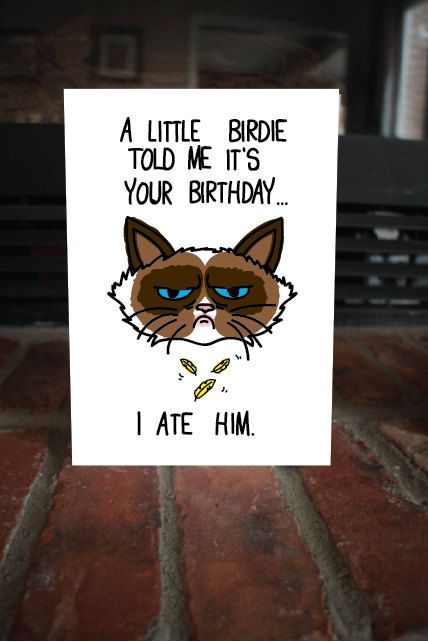 Funny Inappropriate Birthday Cards, Birthday Cards With Cats, Funny Cards Birthday, Funny Happy Birthday Quotes, Meme Birthday Card, Happy Birthday Humorous, Beer Birthday Cards, Animal Birthday Card, Anniversaire Diy