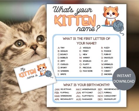 This What's Your Kitten Name Game with Name Tags is a printable PDF and a digital download. This fun name generator game makes the perfect ice breaker game for a kitten birthday party. Use the kitten name game printable for your family game night or as a classroom activity as part of your teacher resources.  Print as many copies as you like, so you can enjoy this cat party game year after year. *What you receive: An instant digital download - nothing will be mailed 2- 8.5 x 11 printable PDFs (print as many as you like)    -1 Kitten name generator game   -1 Kitten name tag template (each tag is 3.5x2.5) Print the name generator on card stock for more durability. Print the Kitten name tags on sticker paper and cut on the lines for each participant. *Find your file: Check your email for a lin What Is Your Cat Name, Cat Theme Party Games, What's Your Name Game, Funny Name Generator, Classroom Party Games, Cat Games, Kitten Birthday Party, Name Tag Templates, Cupcake Birthday Party