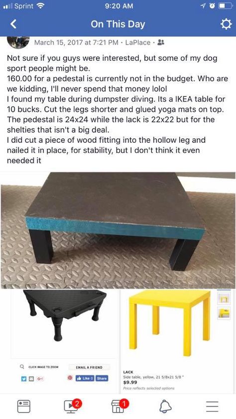 diy dog platform  dog training pedestal ikea hack lack table removable legs joga mag non skid surface Diy Dog Training Platform, Diy Dog Training Equipment, Diy Dog Platform, Diy Dog Agility Equipment, Diy Dog Playground, Dog Parkour, Dog Agility Diy, Dog Agility Course Diy, Dog Fitness