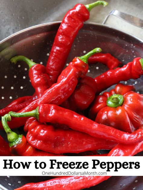 How to Freeze Peppers - One Hundred Dollars a Month How To Freeze Peppers, Freeze Peppers, Freezing Peppers, Cherry Peppers, Freezing Vegetables, Food Preserving, Freezing Food, Freezer Meal Planning, Recipe List