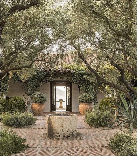 Scott Shrader, Landscape Courtyard, Courtyard Fountain, The Movie It, Herringbone Brick, Veranda Design, Mediterranean Gardens, California Landscape, Italian Garden