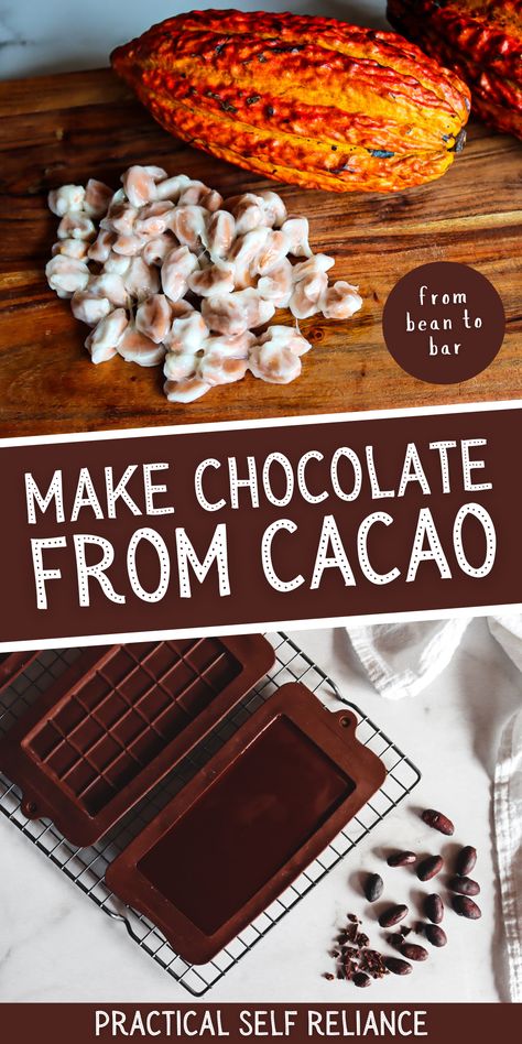 homemade chocolate bars from cacao beans Chocolate Bars Recipe, Chocolate From Scratch, Cacao Powder Recipe, Cacao Nibs Recipes, Cacao Pod, Bean To Bar Chocolate, Cacao Fruit, Chocolate Bar Recipe, Cacao Recipes