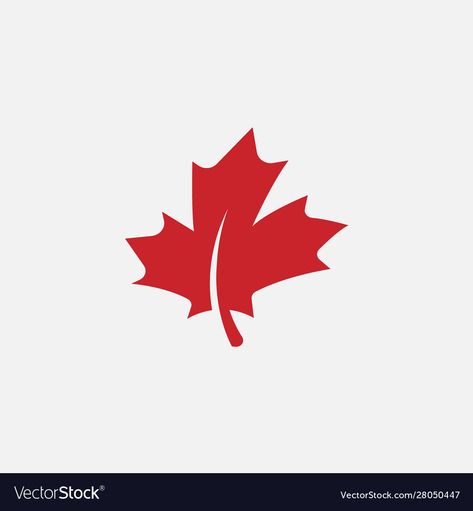 Maple Leaf Vector, Pa Logo, Maple Logo, Leaf Vector Illustration, Canadian Leaf, Leave Logo, Canada Leaf, Maple Leaf Logo, Canada Logo