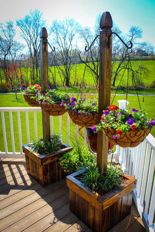 Plant stands outdoor