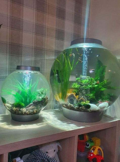 Beta Fish Bowl Ideas, Fish Bowl Centerpiece Wedding, Fish Bowl Ideas, Biorb Fish Tank, Fish Taco Bowl, Fishbowl Centerpiece, Terrarium Table, Fish Tank Wall, Aqua Scape