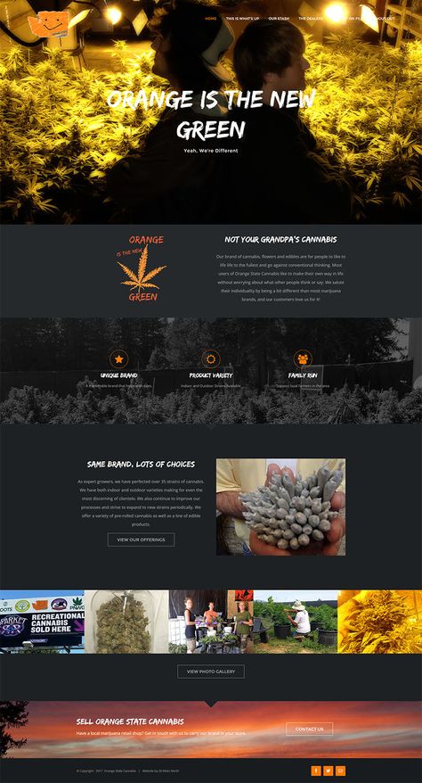 Website Design Inspiration Layout, Orange Is The New, Website Layout, Graphic Design Advertising, Website Design Inspiration, Wireframe, Brand Marketing, Design Web, Web Design Inspiration