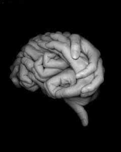 Foto Tips, Foto Art, Human Brain, Digital Art Illustration, Hand Holding, White Photo, Neuroscience, Optical Illusions, White Photography